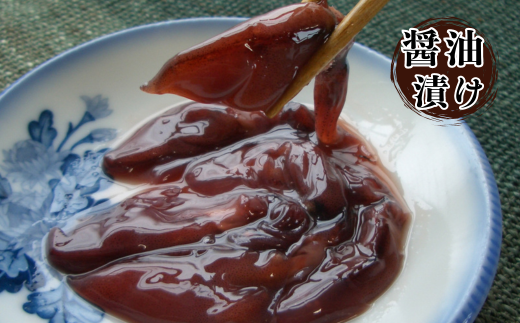 【先行予約】【ほたるいか バラエティーセット5種 合計980g 香住産 冷凍】令和8年3月下旬以降順次発送予定 刺身用ホタルイカ（250g×2）、ボイルホタルイカ（200g×1）、ホタルイカ醤油漬け（200g×1）、ホタルイカ素干し（40g×1）、ホタルイカみりん干し（40g×1）鮮度抜群 ホタルイカ加工品セット 酒の肴 おつまみ 兵庫県 香美町 香住 宿院商店 33-06