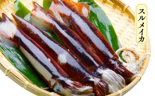 先行予約【兵庫県香住産 香住のイカづくし 合計2.2kgセット 冷凍】令和8年6月下旬以降順次発送予定 国産 香住 山陰 いか 詰め合わせ 鮮度抜群 急速冷凍 産地直送 おすすめ 兵庫県 香美町 宿院商店 33-08