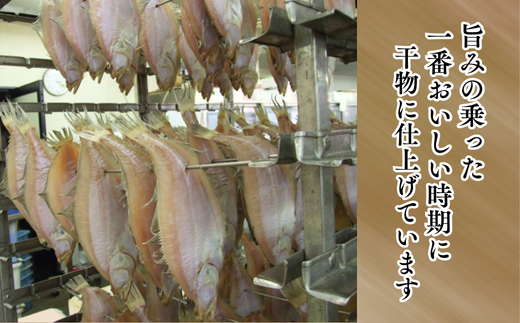 【一夜干し 干カレイと干キスセット】山陰沖で水揚げ 干物 ひもの 海産物 海鮮 魚介 焼いたり 空揚げ お酒のお供 ご飯のお供 日本海 香住海岸 香住魚港 柴山港 兵庫県 香美町 香住 宿院商店 33-12