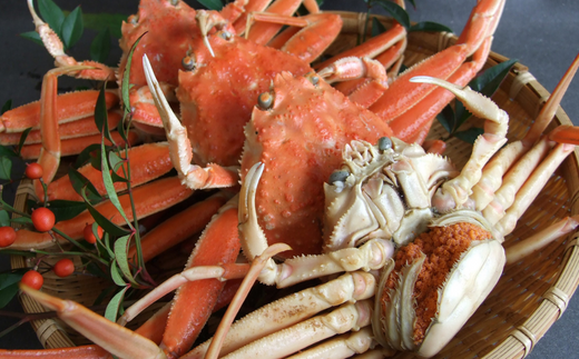 【兵庫県香住産 釜茹でセコガニ 6～10匹 約1.2kg 冷蔵】カニの本場兵庫県香美町 香住漁港 柴山漁港で水揚げ 釜茹でのプロが茹で上げ セコ蟹は松葉ガニのメス プチプチ外子 濃厚な内子 漁期がわずか2カ月間 貴重な海の幸 コッペガニ 香箱蟹 親ガニ 水揚げ当日に茹でたてを発送 到着すぐそのままお召し上がり頂けます 日本海 宿院商店 42000円 33-23