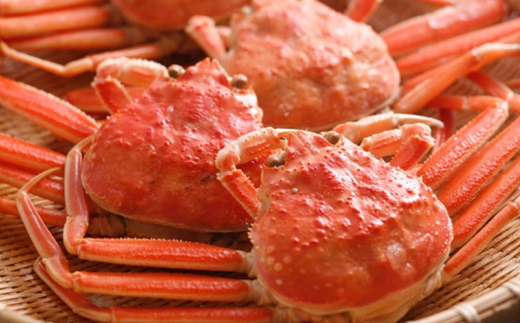 【先行予約】【柴山産 茹でセコガニ 大3匹 1匹約200g 冷蔵】11月中旬以降配送予定 濃厚なかにミソとやみつきになる内子、外子が絶品です 数量限定 産地直送 鮮度抜群 絶妙の塩加減での茹で上げ 大人気 ふるさと納税 おすすめ 返礼品 兵庫県 香美町 香住 柴山 カニ 松葉ガニ せいこがに メスガニ 親ガニ 柴山産 茹でセコガニ ヤマヨシ 28000円 37-02