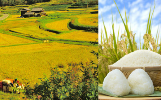 むらおかのお米1kgと矢田川みそギフトセット　41-04