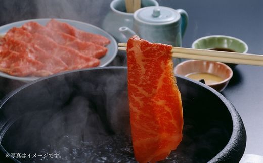 【神戸牛赤身スライス 500g 冷凍】発送目安：入金確認後1ヶ月程度 ※配送日の指定はできません 大人気 人気ふるさと納税 返礼品 おすすめ ランキング しゃぶ 牛肉 ステーキ しゃぶしゃぶ すき焼き 焼肉 但馬 神戸 兵庫県 JA たじま肉の店本店 27000円 72-05