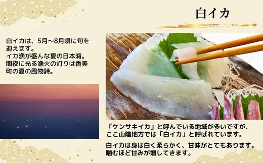 【柔らかくて甘い！お刺身用 白イカむき身 350g（冷凍）】ご入金確認後、水揚げ次第順次発送予定 下処理済み 産地直送 鮮度抜群 大人気 ふるさと納税 香美町 香住 送料無料 イカ 白いか  山米鮮魚 22000円 74-05