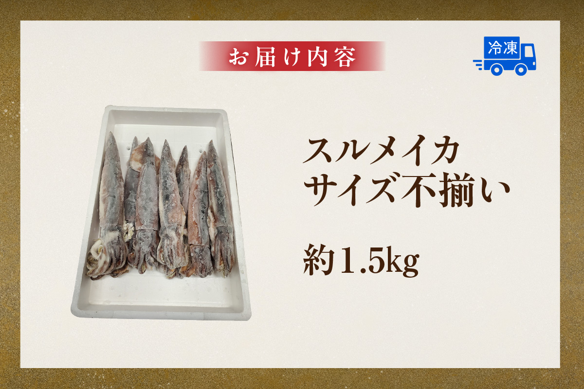 【スルメイカ たっぷり約1.5kgサイズ不揃い（冷凍）】ご入金確認後、水揚げ次第順次発送予定 バラ凍結 産地直送 鮮度抜群 大人気 ふるさと納税 香美町 香住 送料無料 イカ するめいか  山米鮮魚 17000円 74-18