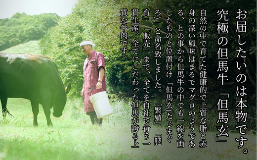 【但馬牛 究極の但馬牛 ローススライス500ｇ わりした付 冷凍】発送目安：ご入金確認後、1ヶ月程度 「満天 青空レストラン」で紹介されました！但馬玄 あっさりとした脂 牛肉 しゃぶしゃぶ すきやき 焼肉 香美町 村岡 上田畜産 75000円 01-07