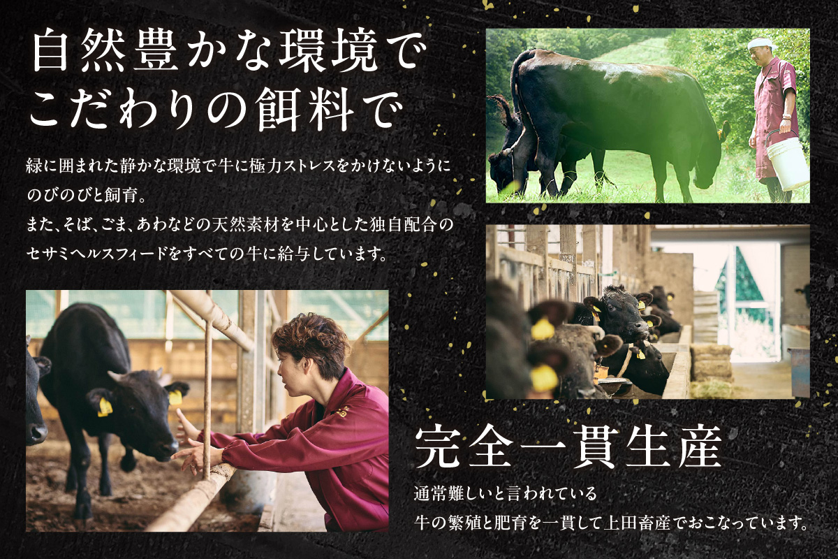但馬牛 究極の但馬牛 “但馬玄“ サーロインステーキ1kg 冷蔵 牛肉 香美町 01-09