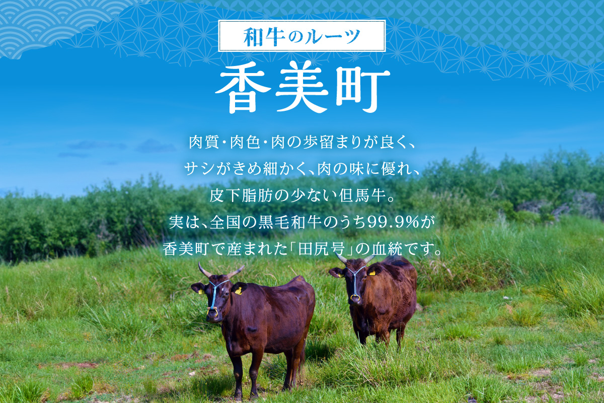 《12/21まで年内発送》【但馬牛 焼肉食べ比べ おすすめ5種盛り 500g】冷凍 ※発送目安：貴重な部位のためお届けに1～2か月要します 黒毛和牛 ルーツ 香美町 産地直送 国産 牛肉 ブランド 和牛 バーベキュー キャンプ ふるさと納税 おすすめ 返礼品 但馬 神戸 兵庫県 香美町 村岡 牛将 村岡ファームガーデン 02-18
