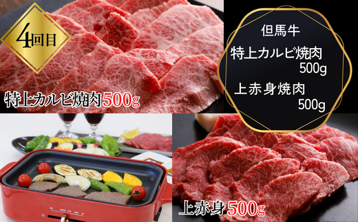 【但馬牛肉プレミアム定期便（計5回）】※月に1回お届け。配送日の指定はできません。日本の黒毛和牛のルーツは香美町にあり 但馬牛は神戸牛、仙台牛、飛騨牛のルーツ牛 大人気 サーロイン ロース カルビ ヒレ 牛肉 焼肉 すき焼き しゃぶしゃぶ ステーキ ハンバーグ コロッケ 切り落とし 赤身 ブランド 和牛 但馬 神戸 香美町 村岡 但馬牛専門店 牛将村岡ファームガーデン 260,000円 02-30