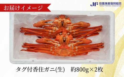 【香住ガニ（生）大 タグ付き 約800g×2枚 冷蔵】 漁協から配送日調整の電話が入ります タグ付きの立派なカニを自信を持って提供いたします 甘みが強い かに カニ 蟹 香住がに 紅ずわいがに ベニズワイガニ 脚 爪 身 ほぐし むき身 かにすき 鍋 大人気 ふるさと納税 返礼品 兵庫県 香美町 香住 遊魚館 50000円 03-07