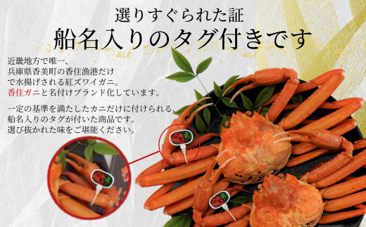 【先行予約】【香住ガニ（ボイル）大 タグ付き 約800g×2枚 冷蔵】令和7年11月以降、カニの水揚次第発送予定 漁協から配送日調整の電話が入ります タグ付きの立派なカニを自信を持って提供いたします 甘みが強い かに カニ 蟹 香住がに 紅ずわいがに ベニズワイガニ 丸ごと 脚 爪 身 ほぐし むき身 かにすき 鍋 大人気 ふるさと納税 兵庫県 香美町 香住 遊魚館  50000円 03-08
