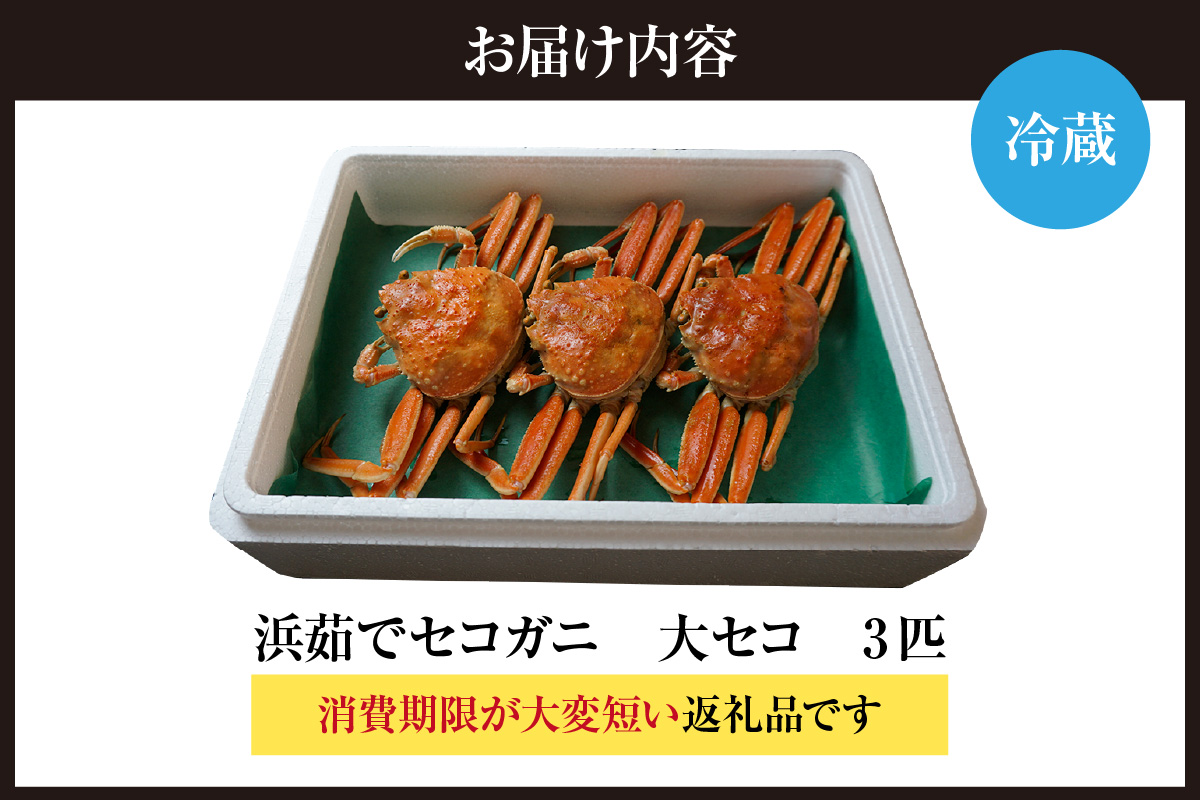 【先行予約】【カネニの浜茹でセコガニ 大セコ 3匹入】令和7年11月中旬以降、水揚げ次第順次発送予定 冷蔵 濃厚なカニ味噌 やみつきになる内子 外子 絶品 浜茹で 産地直送 鮮度抜群 香美町 香住 柴山 送料無料 カニ 松葉ガニ せいこがに メスガニ 親ガニ カネニ 06-19 