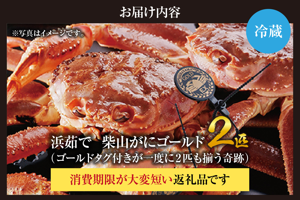 【先行予約】【浜茹で柴山ゴールド 柴山がに・ゴールドタグ付きが一度に2匹も揃う奇跡 冷蔵】 令和7年11月中旬以降、水揚げ次第順次発送予定 冷蔵 高級 貴重 レア 贅沢 かに 蟹 カニ おすすめ 兵庫県 香美町 香住 柴山 カネニ 06-24
