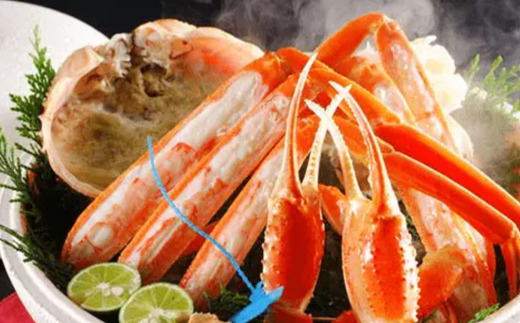 【柴山ガニ タグ付き カネニの浜茹で 1.0kg以上】冷蔵 希少 かに 蟹 カニ 松葉がに 松葉ガニ 柴山がに ボイル タグ付き 高級 かにすき 焼きガニ カニ 贈答 ギフト 贈り物 兵庫県 香美町 香住 柴山 カネニ 06-02