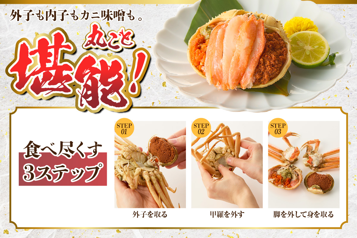 セコガニ 訳あり 約120g×10匹 冷凍 かに カニ 香美町 07-117 10匹