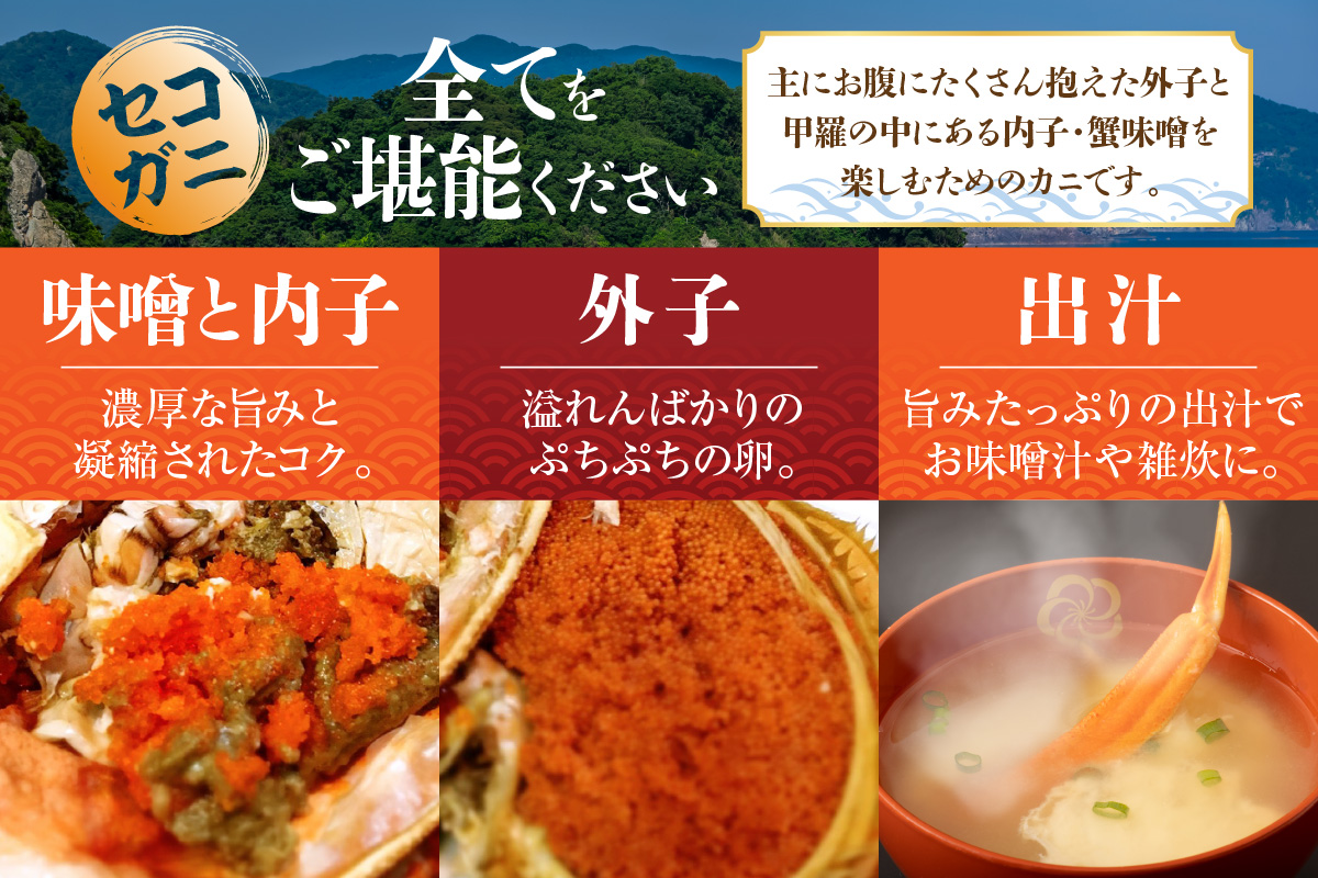 【セコガニ 訳あり（欠足 キズ 汚れなど）約120g×10匹 冷凍】内子 外子 カニ味噌 濃厚 絶品 釜茹で 冷凍 産地直送 鮮度抜群 国産 かに カニ 蟹 ボイル ズワイガニ 松葉がに せいこがに メスガニ 雌 めす 親ガニ 大人気 おすすめ 贈り物 ギフト お取り寄せ 兵庫県 香美町 香住 柴山 日本海フーズ 07-117