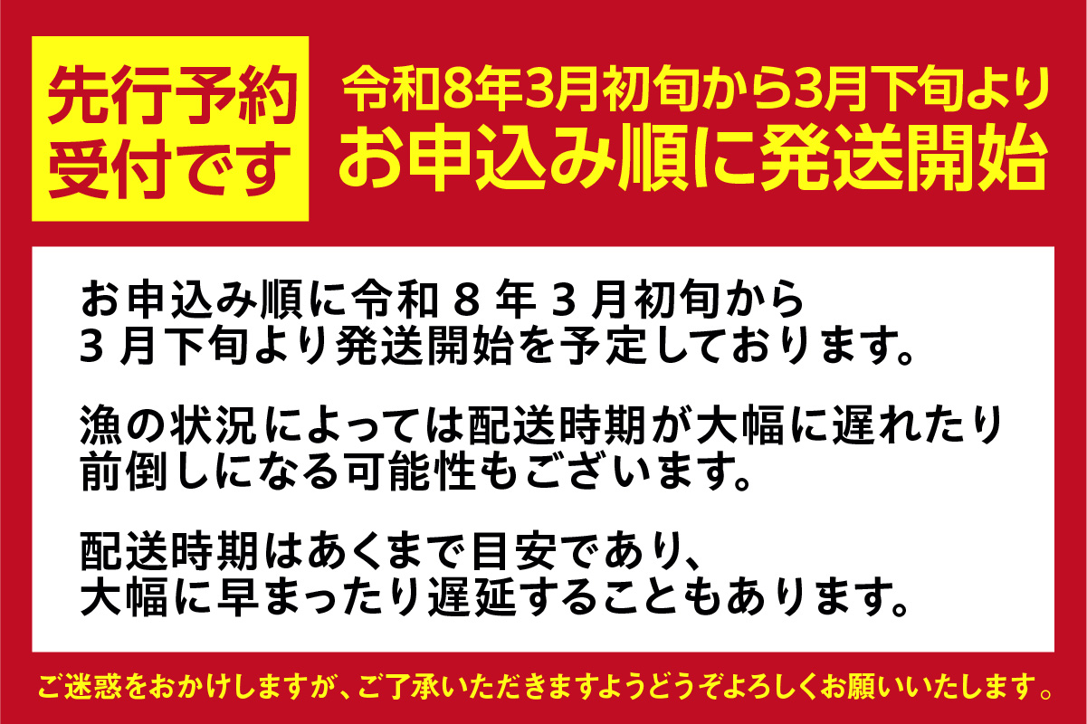 【先行予約】【兵庫県香住産 訳あり 生 ホタルイカ ほたるいか 小分け 便利 2kg（250g×8パック）冷凍】令和8年3月初旬から下旬にかけて発送開始予定 国産 香住 いか イカ 大人気 人気 おすすめ 兵庫県 香美町 日本海フーズ 07-135