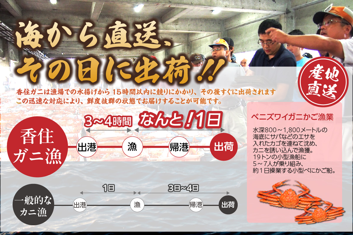 《12/21まで年内発送》【贈答用香住ガニ甲羅盛り（200g×1個）】冷凍 カニの本場 香住産  香住ガニ かに カニ 蟹 紅ズワイガニ 紅ずわいがに 紅 香住漁港 香美町 香住 兵庫県 日本海 国産 甲羅盛 甲羅 お取り寄せ グルメ 贈答 贈り物 ギフト マルヤ水産 12000円 11-21