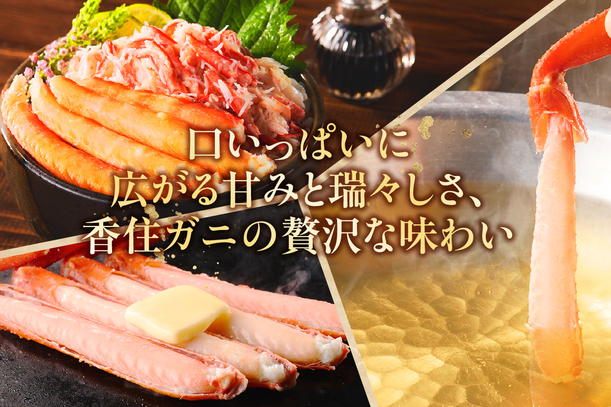 訳あり 茹切 香住ガニ7～9肩（約1kg）冷蔵 かに マルヤ 11-17