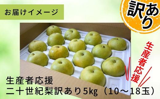 2026年産 先行予約【梨 訳あり 20世紀梨 5kg（10～18玉）】生産者応援商品！ 9月上旬～下旬にかけて発送予定 数量限定 ご家庭用 ジャム 加工用 傷あり 不揃い 訳あり 二十世紀梨 兵庫県  香美町 香住梨 フルーツ ナシ 青梨 和梨 JAたじま 10000円 12-23