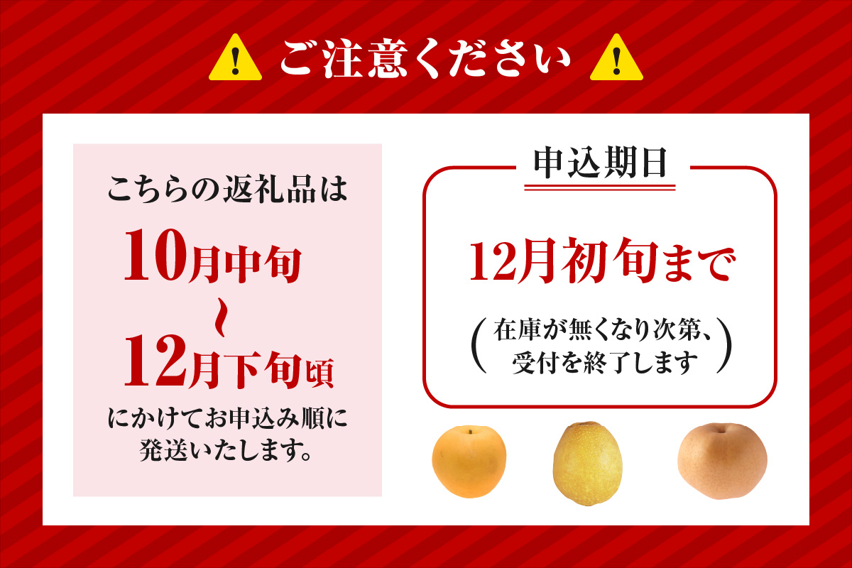 【2026年産 先行予約】 晩生梨 品種（新興梨・王秋梨 ・愛宕梨のいずれか）5kg（7～13玉）【令和8年10月中旬以降発送予定】 梨 フルーツ 香美町 12-24 5kg（7～13玉）
