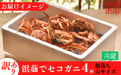 【訳あり 浜茹で セコガニ 香住産 大サイズ4匹入り 冷蔵】カニの本場 香住 濃厚なかにミソとやみつきになる内子、外子が絶品です 訳あり理由：指落ち1～2本 大人気 ふるさと納税 濃厚 香美町 柴山 山陰 日本海 国産 カニ ズワイガニ 松葉ガニ せいこがに メスガニ  爪 ほぐし ボイル 脚 鮮度抜群 絶妙の塩加減での茹で上げ 丸近 18000円 19-10