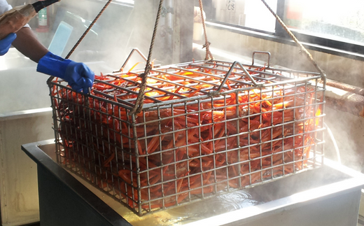 【兵庫県香住産 釜茹で香住ガニ（紅ズワイガニ）2～3匹 冷凍】新鮮な香住ガニ 絶妙な塩加減で茹で上げ ミネラル豊富 甘みがあってとても美味しい 関西では「香住漁港」だけしか水揚げを許可されていない特産品 足が1～2本折れたカニが混ざる場合がございます おすすめ 日本海 兵庫県 香美町 宿院商店 33-22