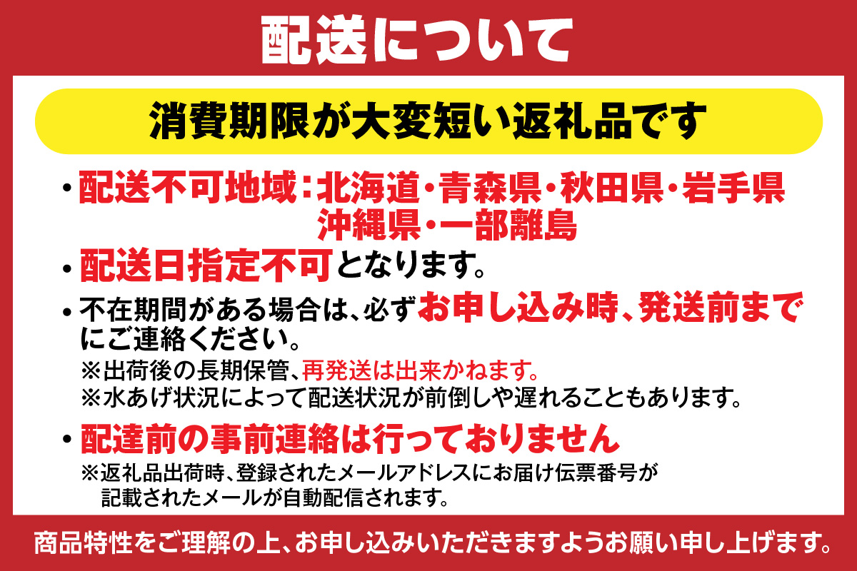 【先行予約】【特選 釜茹で タグ付き 松葉ガニ 1匹（約800g～900g）冷凍】11月中旬以降配送予定 香住で水揚げされた新鮮な松葉ガニを熟練の職人が茹で上げます。茹でたてを急速冷凍して発送します。カニの本場 香住 新鮮 国産 鍋 かにすき 脚 足 爪 身 肩 大人気 ふるさと納税 兵庫県 香美町 香住 柴山 ズワイガニ 宿院商店 100000円 33-29
