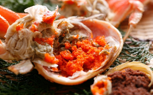 【先行予約】【柴山産 茹でセコガニ 大3匹 1匹約200g 冷蔵】11月中旬以降配送予定 濃厚なかにミソとやみつきになる内子、外子が絶品です 数量限定 産地直送 鮮度抜群 絶妙の塩加減での茹で上げ 大人気 ふるさと納税 おすすめ 返礼品 兵庫県 香美町 香住 柴山 カニ 松葉ガニ せいこがに メスガニ 親ガニ 柴山産 茹でセコガニ ヤマヨシ 28000円 37-02