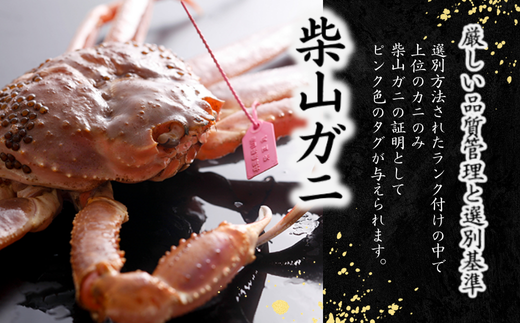 【先行予約】【柴山産 活け タグ付 柴山ゴールド タグ付 1匹 1.35kg以上 冷蔵】11月中旬以降配送予定 水揚げの関係上、配達日の指定はできません 香住で水揚げされた新鮮な活松葉ガニをお届け カニの本場 香住 新鮮 国産 鍋 かにすき 脚 足 爪 身 肩 大人気 ふるさと納税 兵庫県 香美町 香住 柴山 ズワイガニ 松葉ガニ ヤマヨシ 500000円 37-05