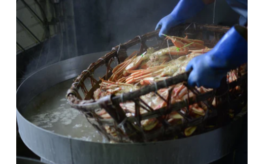 【先行予約】【釜茹で松葉がに（1杯あたり700～900g）と紅ずわいがにの自家製濃厚みそ1個（40g） セット 冷蔵】令和7年11月中旬以降発送予定 ふるさと納税 カニの本場 香住 ベニズワイガニ 兵庫県 香美町 かに カニ 蟹 甲羅みそ かにみそ ボイル 職人が見極めて手作業で炊き上げ 一切冷凍保存を行わない ミシュラン星付レストランからも注文が入ります カネリョウ 110000円 39-05