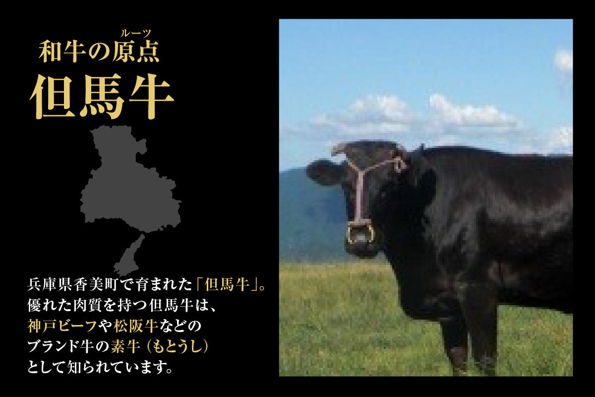 ANA 全国肉（缶詰・瓶詰）ランキング 週間・月間1位 獲得！（2025年7月時点）【但馬牛 出汁缶 240g×5缶】名産品 但馬牛 お土産 出汁 和牛 牛 但馬 すじ カレー 肉じゃが 濃厚 無添加 スープ 雑炊 料理 ギフト自宅用 常温 兵庫県 香美町 香住 民宿いしだ 11000円 48-14