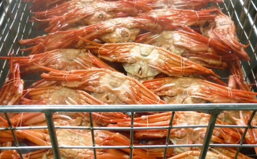 【釜茹で香住ガニ 2～3杯（1.6～1.8kg分）冷凍】配送日時指定可 国産 香住 香住がに 紅ずわいがに 紅ズワイガニ カニ かに 蟹 ボイル 茹で おすすめ 兵庫県 香美町 今西食品 49-03