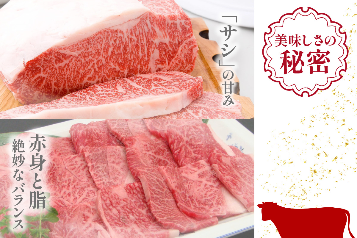 【神戸牛焼肉用（霜降り部位）1kg（500g×2） 冷凍】発送目安：入金確認後1ヶ月程度 ※配送日の指定はできません 大人気 人気ふるさと納税 返礼品 おすすめ ランキング しゃぶ 牛肉 ステーキ しゃぶしゃぶ すき焼き 焼肉 但馬 神戸 兵庫県 JA たじま肉の店本店 66000円 72-10