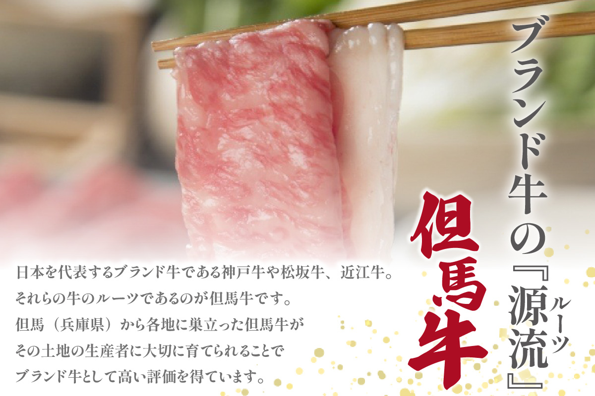【但馬牛がっせぇ盛り スライス切り落とし計1kg（250g×4） 冷凍】発送目安：入金確認後1ヶ月程度 配送日の指定はできません。 大人気 人気ふるさと納税 返礼品 おすすめ ランキング しゃぶ 牛肉 ステーキ しゃぶしゃぶ すき焼き 焼肉 但馬 神戸 兵庫県 但馬牛 27000円 72-23