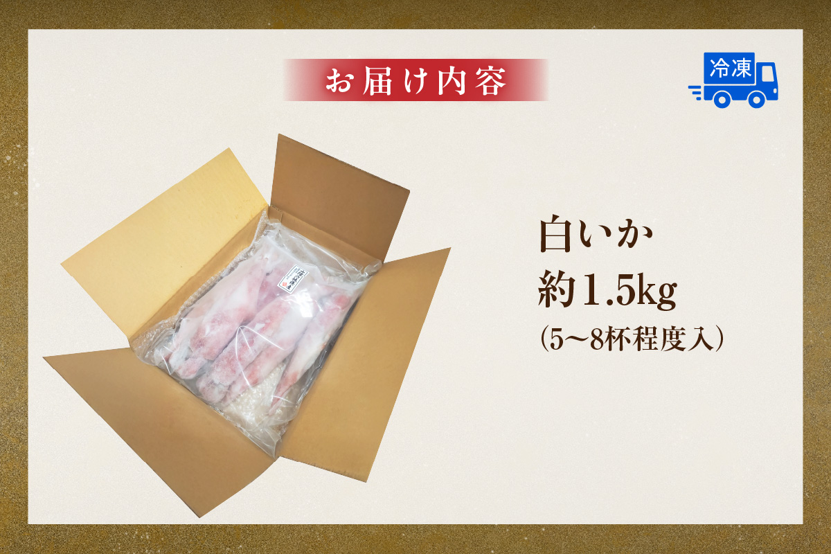 【白イカ 約1.5kg（5-8杯程度入） 冷凍】獲れたまま バラ凍結 3D凍結 鮮度抜群 イカ いか 白イカ 白いか 大人気 おすすめ 兵庫県 香美町 山米鮮魚 74-06