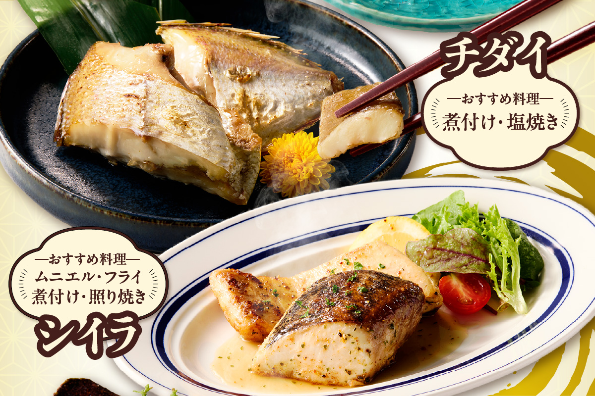 山陰のお魚切身詰め合わせ 計約16切 冷凍 海鮮 魚 香美町 74-10