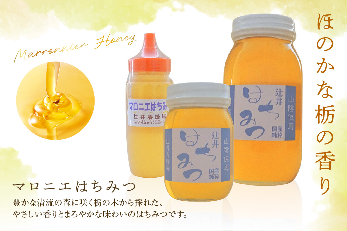 ランキング 週間 1位 国産 純粋 マロニエ はちみつ 250g ポリ容器 ハチミツ 香美町 81-01