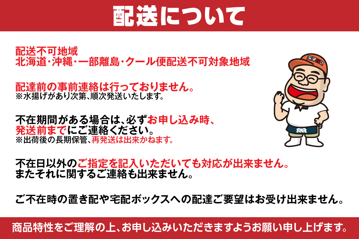【ほたるいか醤油漬け1kg(500g×2)】兵庫 香住 水揚げ 新鮮 独自製法 丸大豆醤油 丸ごと 深い味わい ワタ 大容量 醤油漬け 保存料・着色料不使用 業務用 日本海フーズ にしとも かに市場 07-28 