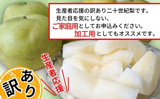 2026年産 先行予約【梨 訳あり 20世紀梨 5kg（10～18玉）】生産者応援商品！ 9月上旬～下旬にかけて発送予定 数量限定 ご家庭用 ジャム 加工用 傷あり 不揃い 訳あり 二十世紀梨 兵庫県  香美町 香住梨 フルーツ ナシ 青梨 和梨 JAたじま 10000円 12-23