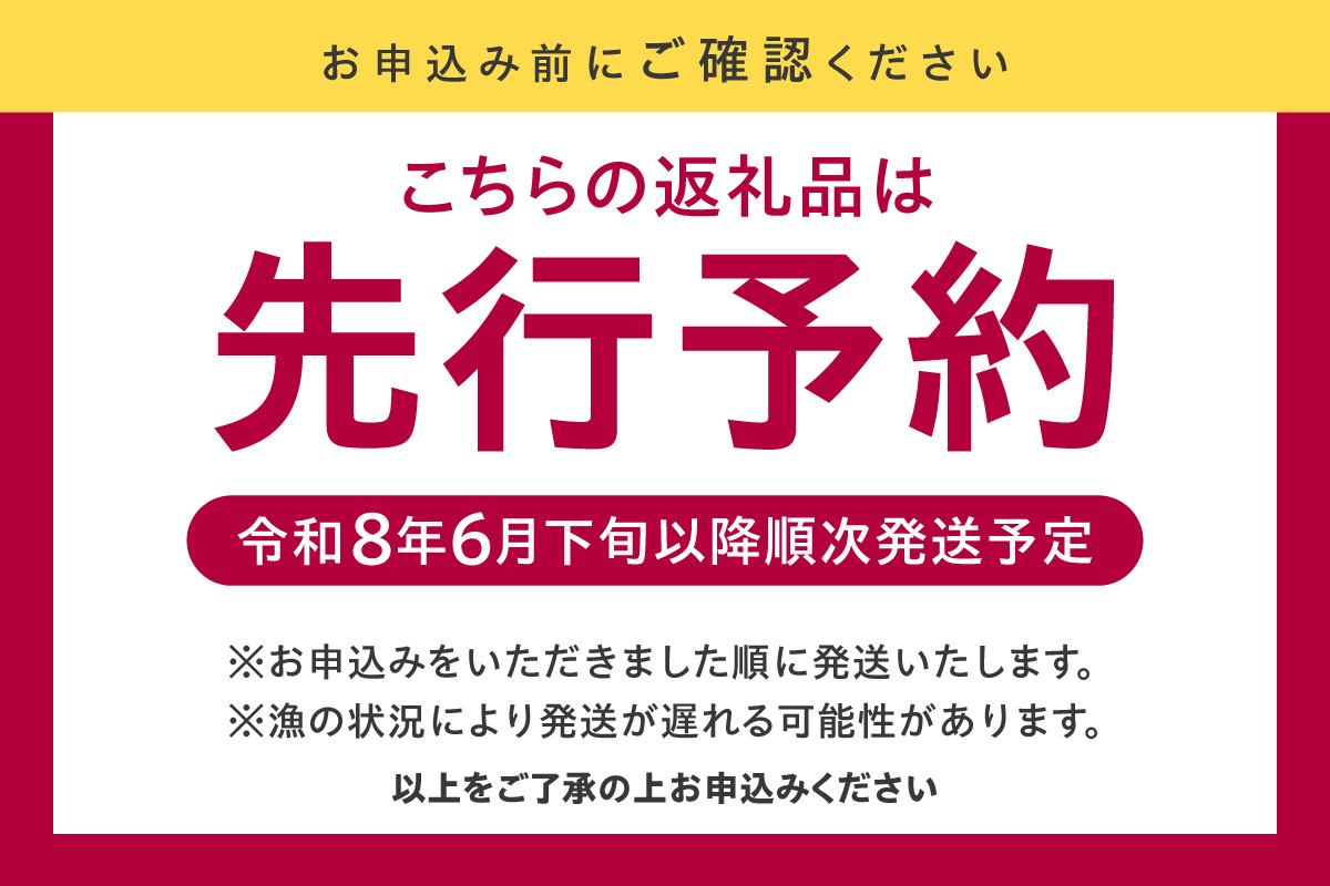 先行予約【兵庫県香住産 白いか 甘えび お刺身用セット 白いか（剣先いか）5～8杯（約1kg）甘えび30～40尾前後（約800g）冷凍】 令和8年6月下旬以降、順次発送予定 鮮度抜群 短時間で急速冷凍 白イカ 甘エビ 刺身 セット 詰合せ 国産 産地直送 新鮮 海鮮 ふるさと納税　おすすめ 返礼品 兵庫県 香美町 香住 宿院商店 28000円 33-05
