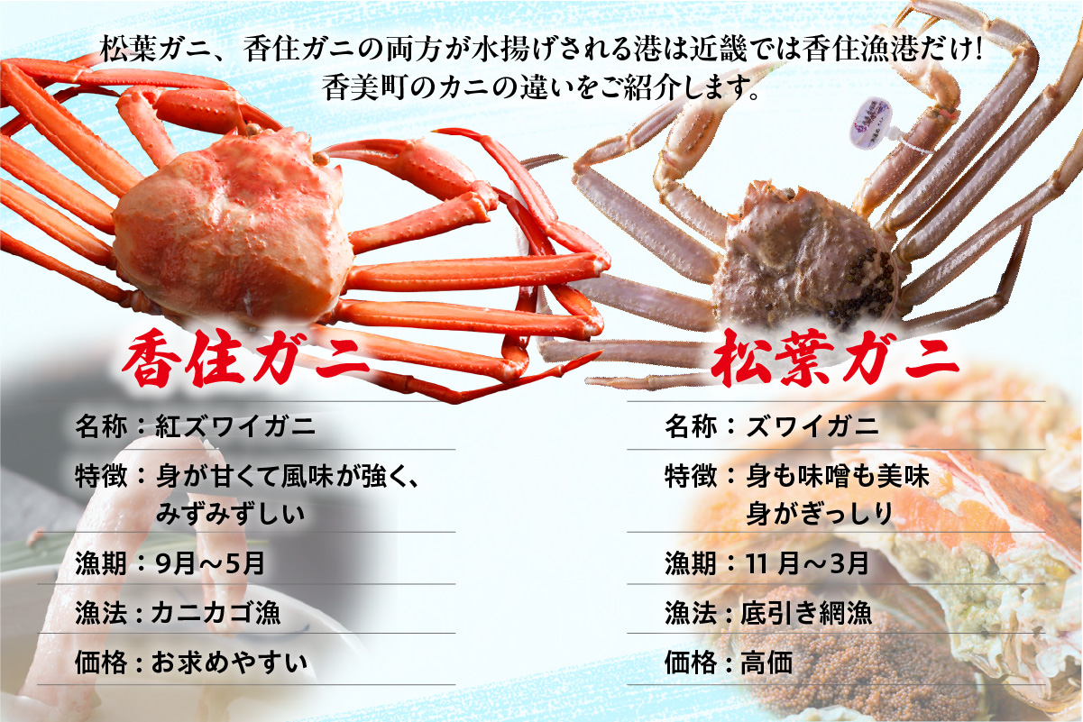 釜茹で 香住ガニ 2～3杯 カニホタル 3パック 冷凍 配送日時指定可 かに カニ ほたるいか ホタルイカ 香美町 49-07