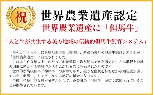 《12/21まで年内発送》【但馬牛 スライス食べ比べ三種盛 合計600g リブロース200g もも肉200g バラ肉200g 】冷凍 黒毛和牛 最高峰 但馬牛 スライス 詰め合せ 食べ比べ 牛肉 しゃぶしゃぶ すき焼き 和牛 但馬牛 産地直送 但馬 神戸 香美町 村岡 牛将 02-20