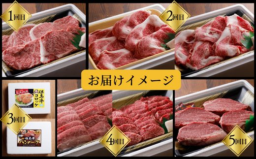 【但馬牛肉プレミアム定期便（計5回）】※月に1回お届け。配送日の指定はできません。日本の黒毛和牛のルーツは香美町にあり 但馬牛は神戸牛、仙台牛、飛騨牛のルーツ牛 大人気 サーロイン ロース カルビ ヒレ 牛肉 焼肉 すき焼き しゃぶしゃぶ ステーキ ハンバーグ コロッケ 切り落とし 赤身 ブランド 和牛 但馬 神戸 香美町 村岡 但馬牛専門店 牛将村岡ファームガーデン 260,000円 02-30