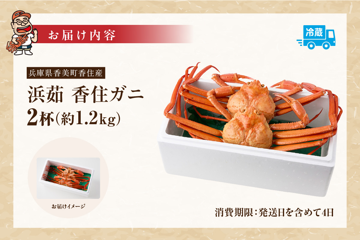 【香住ガニ 釜茹で ボイル 大きめ 約600g×2匹（約1.2kg以上）冷蔵】大人気 人気 ランキング おすすめ 国産 しゃぶ かにみそ かにすき かに鍋 カニの本場 香住 兵庫県 香美町  注意書きの確認を必ずお願いします  ベニズワイガニ かに 蟹  むき身 爪 脚 日本海フーズ 07-01 ☆