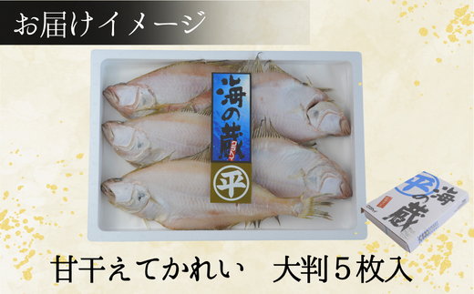 干物 甘干えてかれい 大判5枚入（1枚あたり180g）カレイ 香美町 蔵平水産 08-07