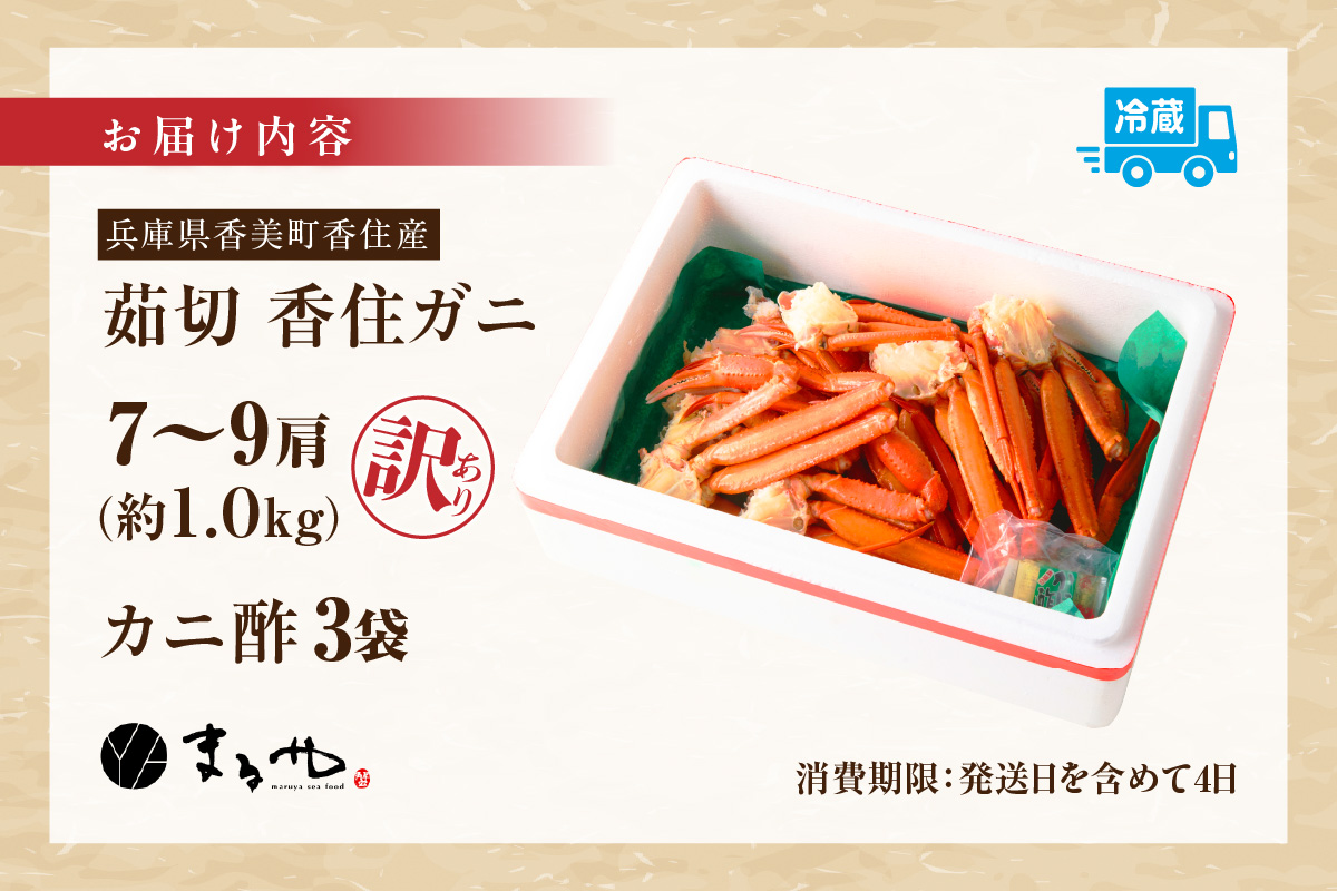 訳あり 茹切 香住ガニ7～9肩（約1kg）冷蔵 かに マルヤ 11-17