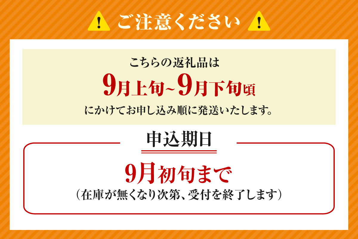 2026年産 先行予約【梨 訳あり 20世紀梨 5kg（10～18玉）】生産者応援商品！ 9月上旬～下旬にかけて発送予定 数量限定 ご家庭用 ジャム 加工用 傷あり 不揃い 訳あり 二十世紀梨 兵庫県  香美町 香住梨 フルーツ フルーツ先行予約 ナシ 青梨 和梨 JAたじま 10000円 12-23
