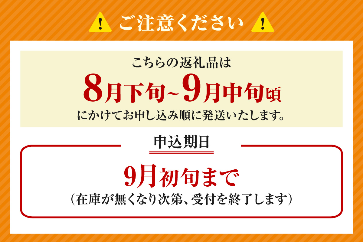 先行予約 2026年産 二十世紀梨 5kg 大きめ（1玉350g～500gを10～14玉）果物 12-05