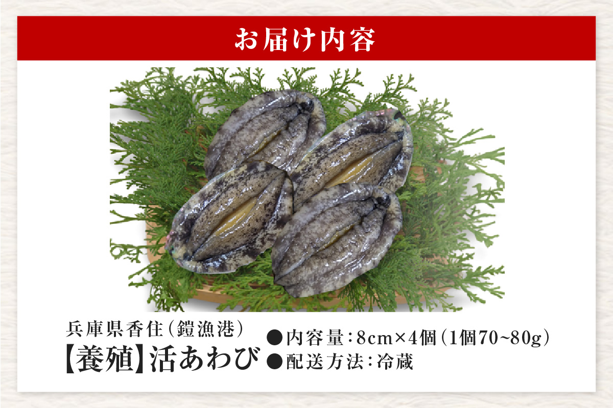 《12/21まで年内発送》【冷蔵 活あわび 養殖  8cm×4枚 280～320g (1個70～80g）】満点青空レストラン うまい！おせち2023に採用されました！アワビ 鮑 活アワビ あわび 海鮮貝 魚介 お刺身 BBQ バター焼き 新鮮 日本海 養殖 昆布 レシピ入り 人気 テレビ 紹介 話題 高級 香美町 香住 山陰 美嶋丸 18000円 20-01
